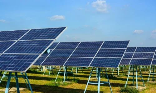 Large solar panel array installed on metal frames in an open field under a clear blue sky, representing a renewable energy project.
